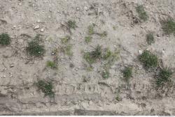 Photo of Nature Textures